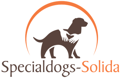 Specialdogs-Solida